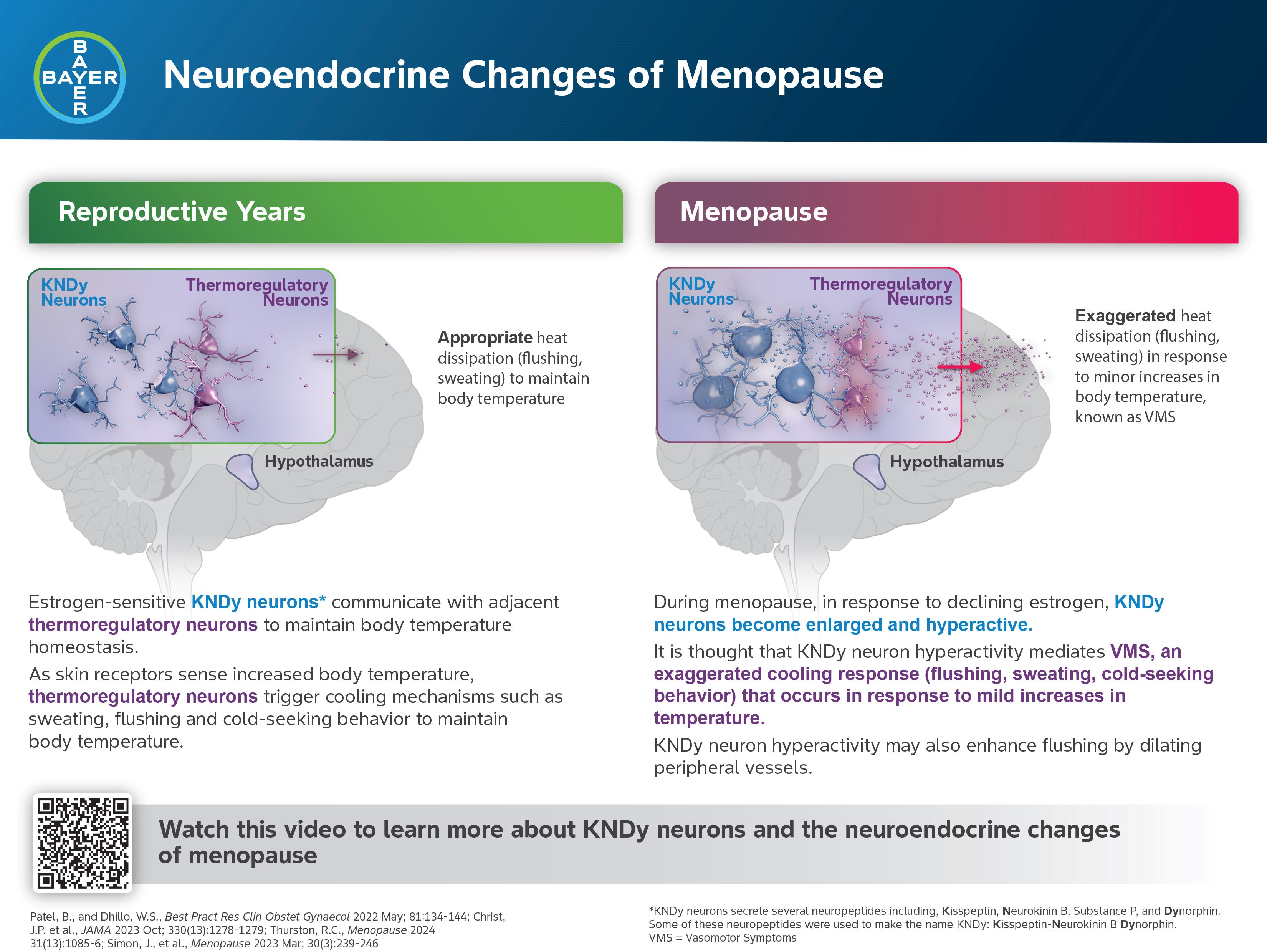 A person reading through quarterly updates